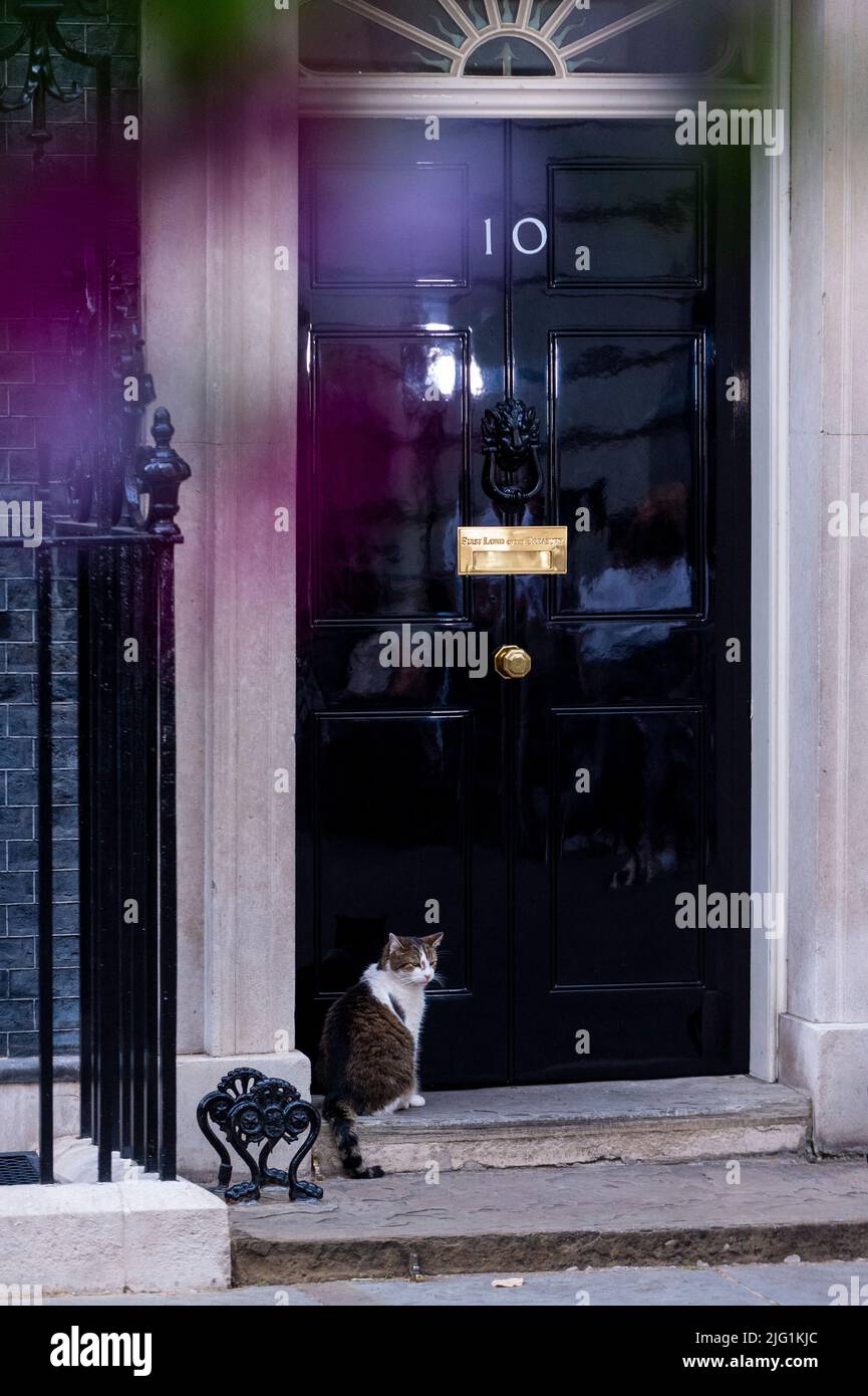 London, Großbritannien. 6. Juli 2022. Larry, die Katze, vor der Downing Street Nr. 10 an diesem Abend, an einem Tag, an dem 42 konservative Abgeordnete zurückgetreten sind, wurde Michael Gove, Leveling Up Secretary, entlassen und Boris Johnson, Premierminister, klammert sich an seine Position. Kredit: Stephen Chung / Alamy Live Nachrichten Stockfoto London, Großbritannien. 6. Juli 2022. Larry, die Katze, vor der Downing Street Nr. 10 an diesem Abend, an einem Tag, an dem 42 konservative Abgeordnete zurückgetreten sind, wurde Michael Gove, Leveling Up Secretary, entlassen und Boris Johnson, Premierminister, klammert sich an seine Position. Kredit: Stephen Chung / Alamy Live Nachrichten Stockfoto