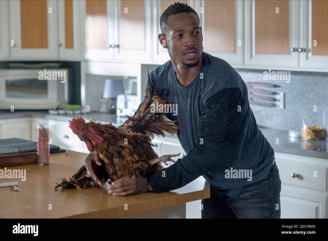 MARLON WAYANS, EIN GEISTERHAUS 2, 2014 Stockfoto