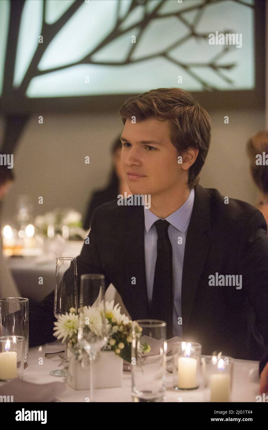 ANSEL ELGORT, DER FEHLER IN UNSEREN STERNEN, 2014 Stockfoto