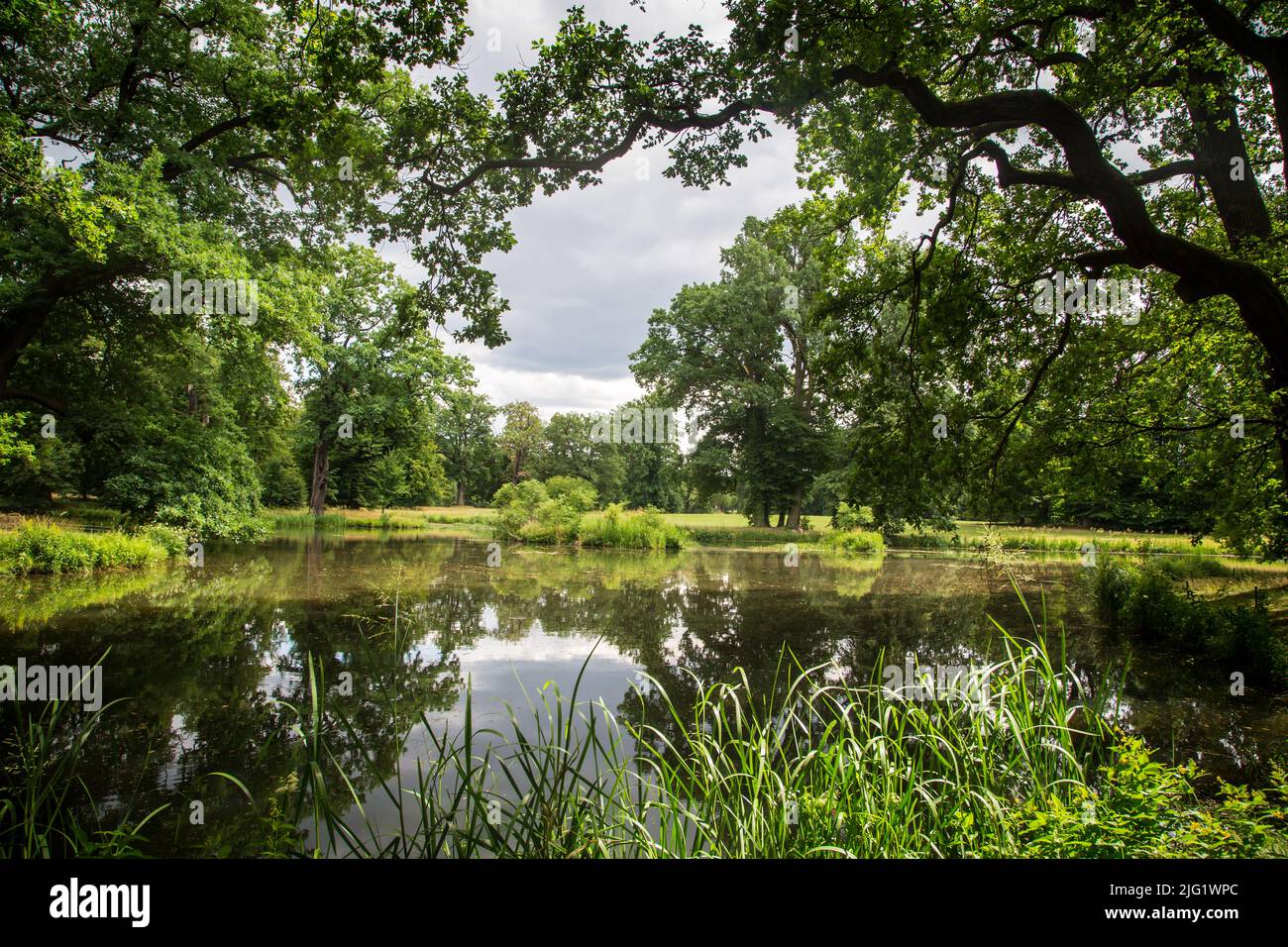 Fürst-Pückler-Park Bad Muskau, Sachsen, Deutschland Stockfoto
