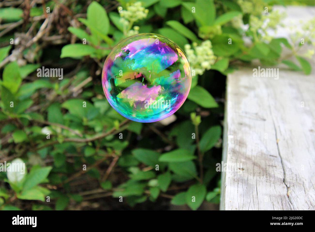 Schwebende Blase In Der Luft Stockfoto