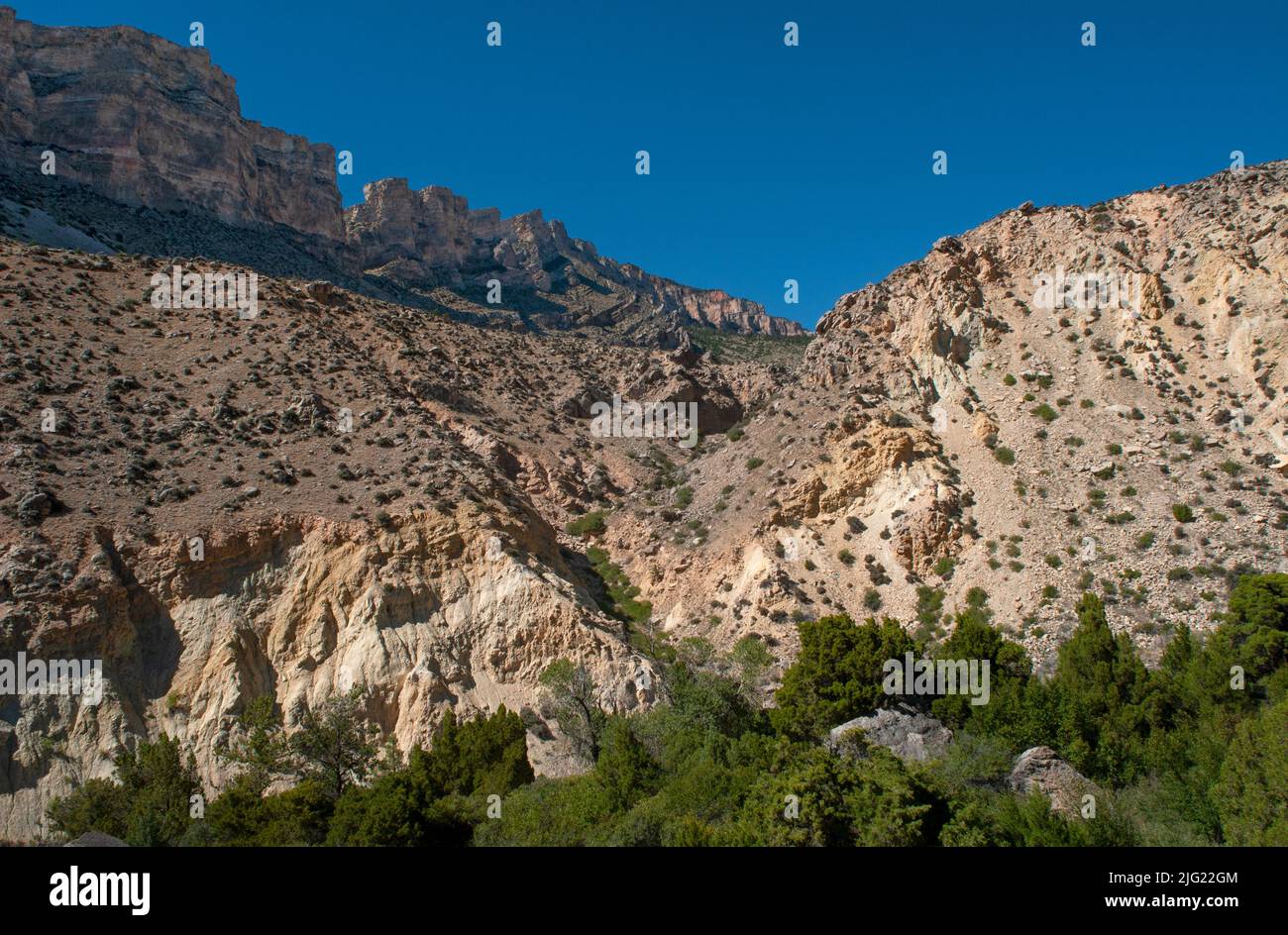 Bighorn National Forest in Wyoming, USA Stockfoto