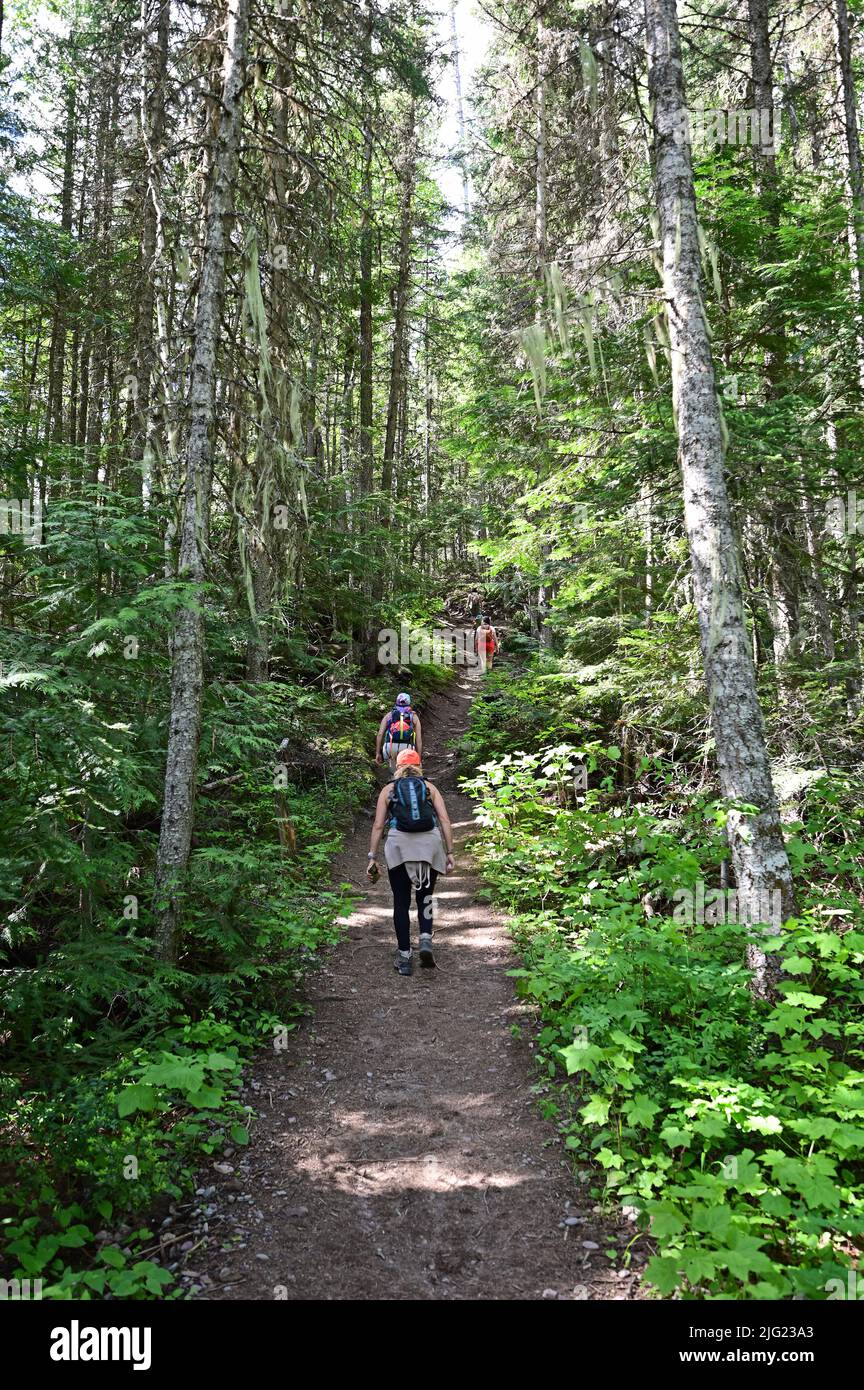 Junge Frauen wandern am sonnigen Sommertag auf dem Stanton Lake Trail in Great Bear Wilderness, Montana. Stockfoto