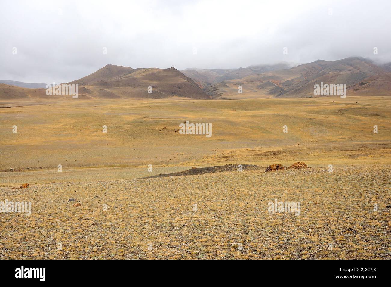 Hügelige, getrocknete Steppe und Bergkette mit Gipfeln in Gewitterwolken. Kurai-Steppe, Altai, Sibirien, Russland. Stockfoto