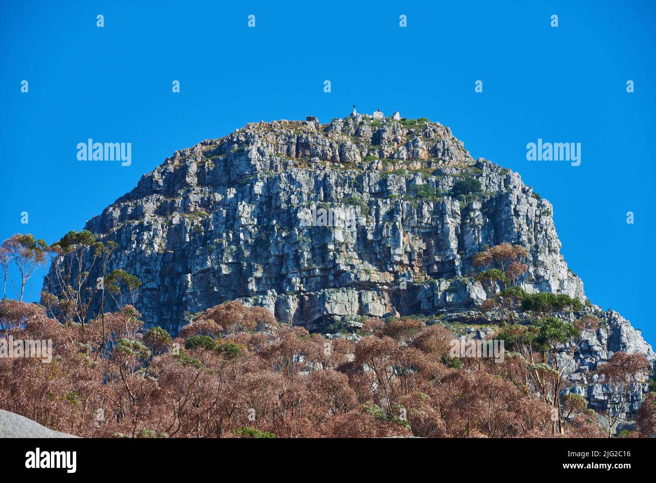 Ein großer Berg mit braunen und grünen Bäumen vor einem Hintergrund von klarem blauen Himmel und Copyspace. Riesiges, felsiges Gelände, ideal zum Wandern und Klettern Stockfoto