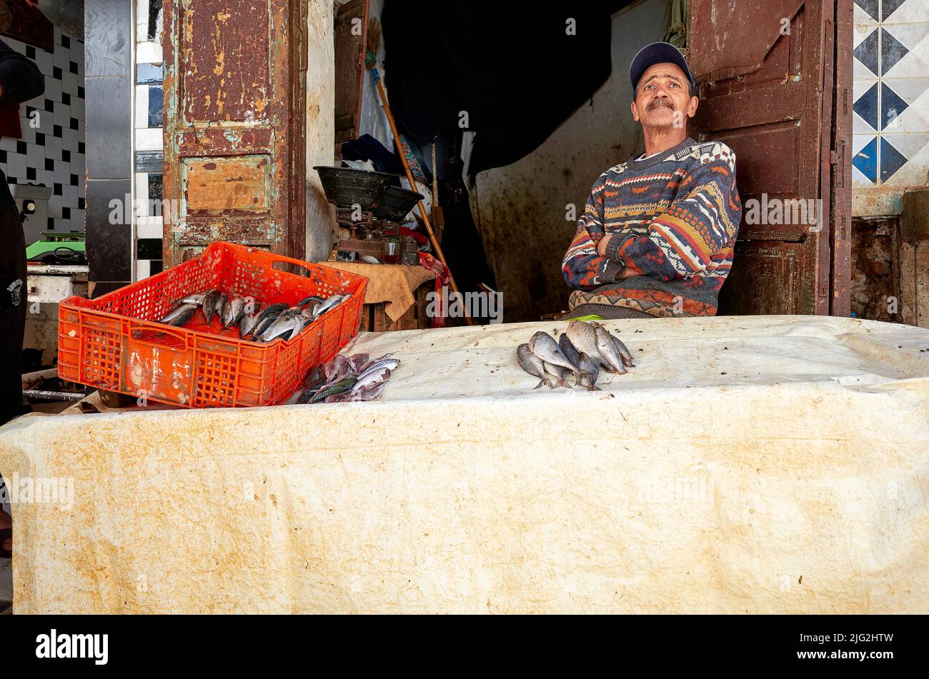 Marokko Meknes. Der Fischhändler Stockfoto