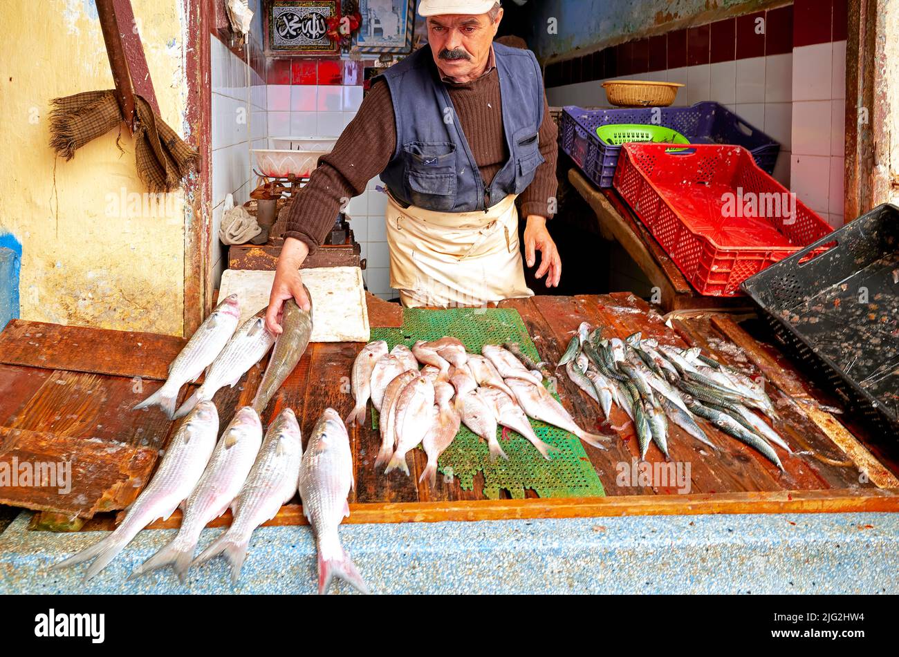 Marokko Meknes. Der Fischhändler Stockfoto