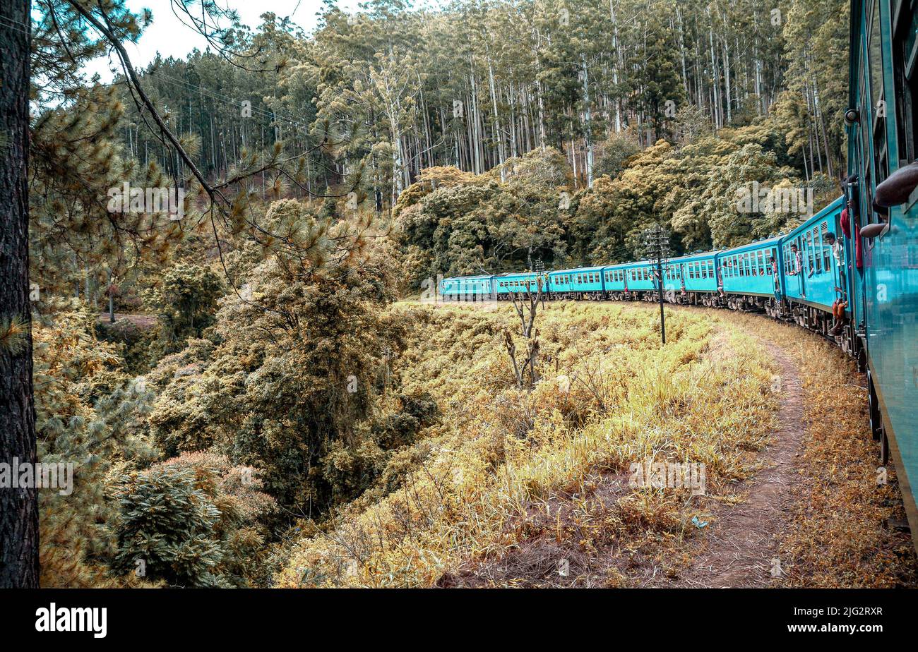 Zug durch den Wald. Bahn in den Bergen von sri lanka. Der Blick aus dem Zugfenster Stockfoto