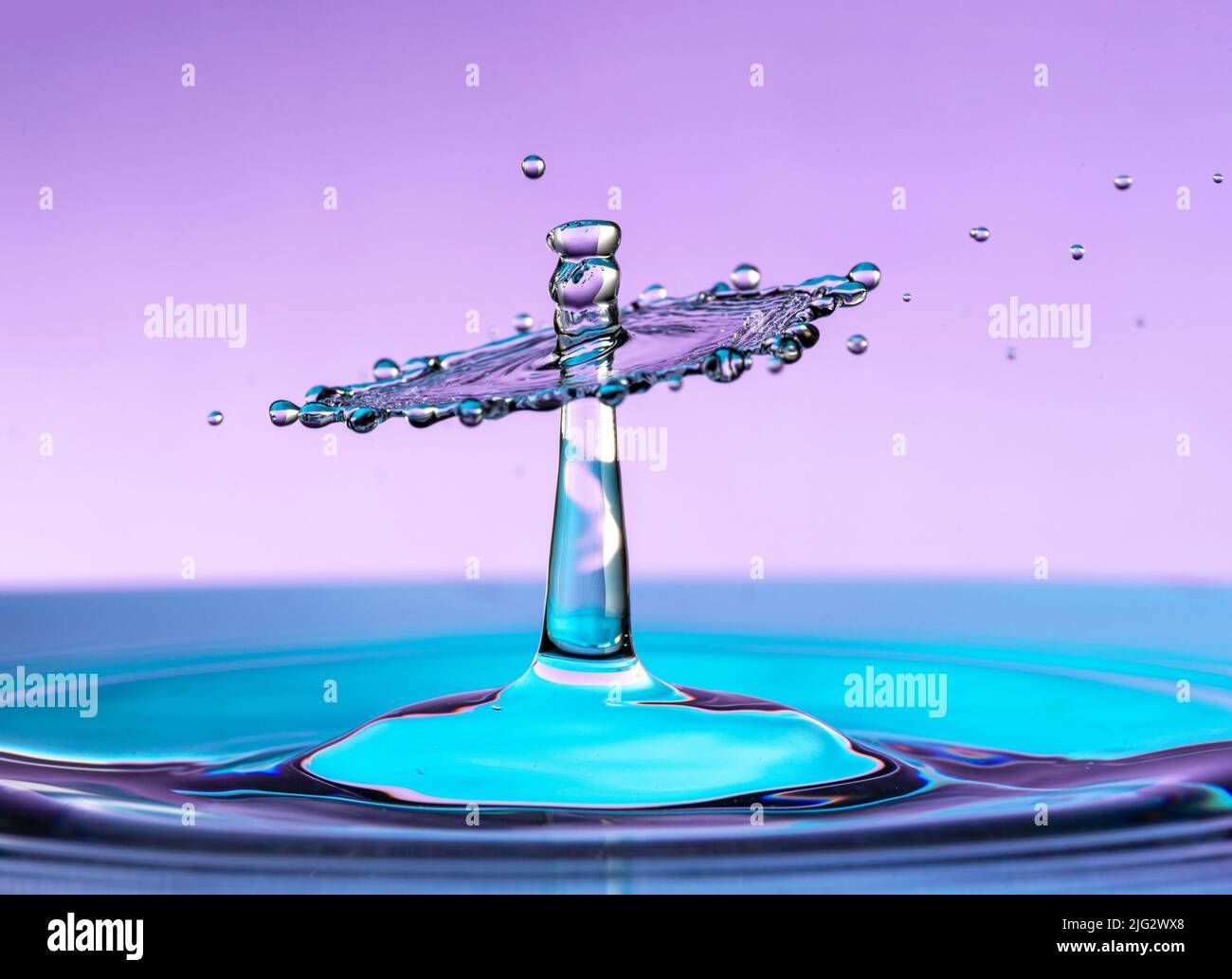Makroaufnahme einer Kollision mit einem Wassertropfen. Spritzer Wasser Krone auf der Oberfläche. Stockfoto