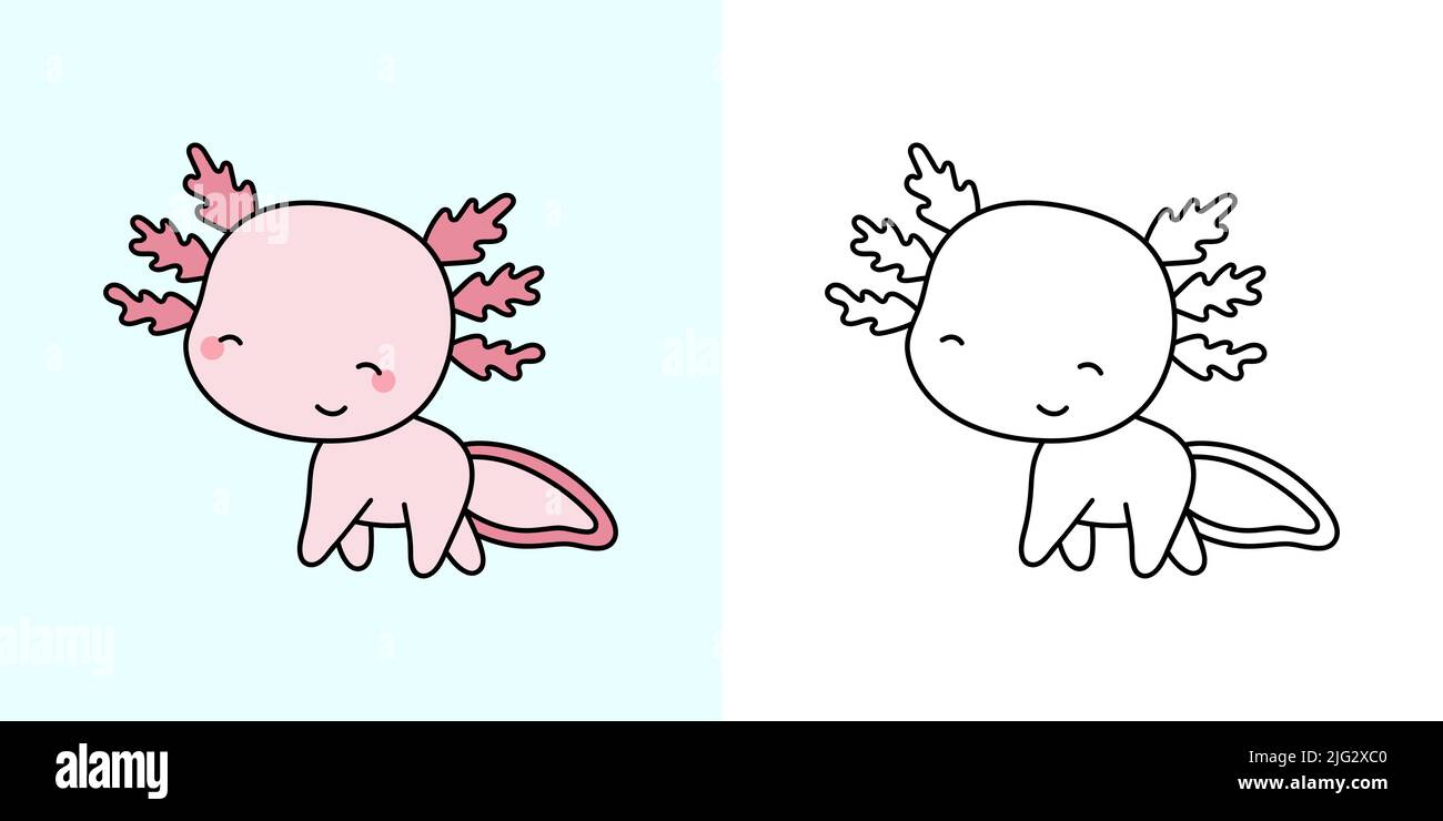 Legen Sie Clipart Axolotl Multicolor und Schwarzweiß fest. Kawaii Clip Art Axolotl. Vektor-Illustration eines Kawaii-Tieres für Drucke für Kleidung, Aufkleber Stock Vektor