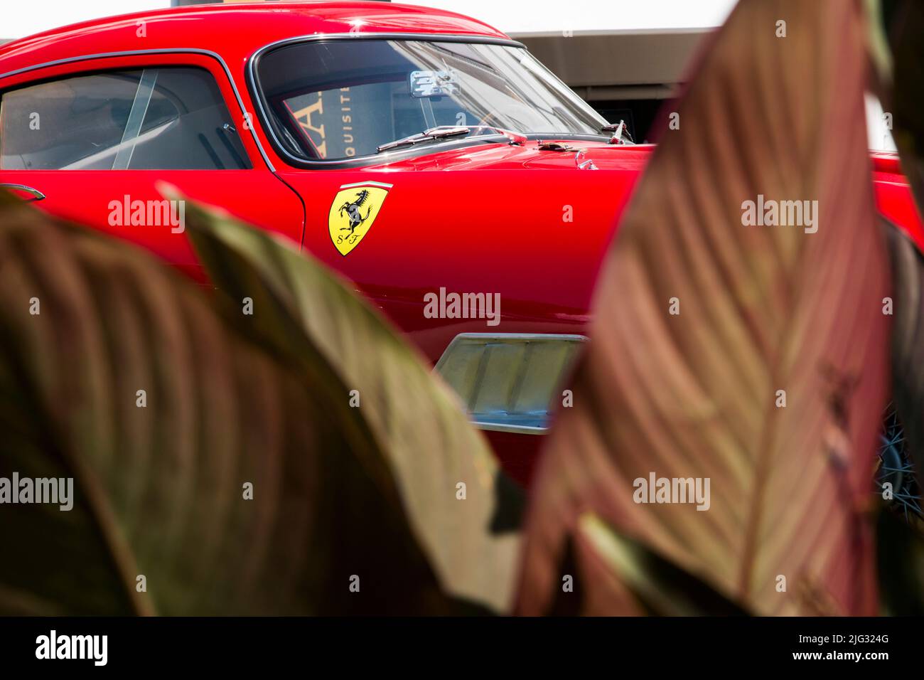 Soestdijk, Niederlande - 24. AUG 2019: Klassischer Ferrari-Wagen, der auf der statischen Ausstellung im Concours d'Elegance Paleis Soestdijk glänzt. Stockfoto