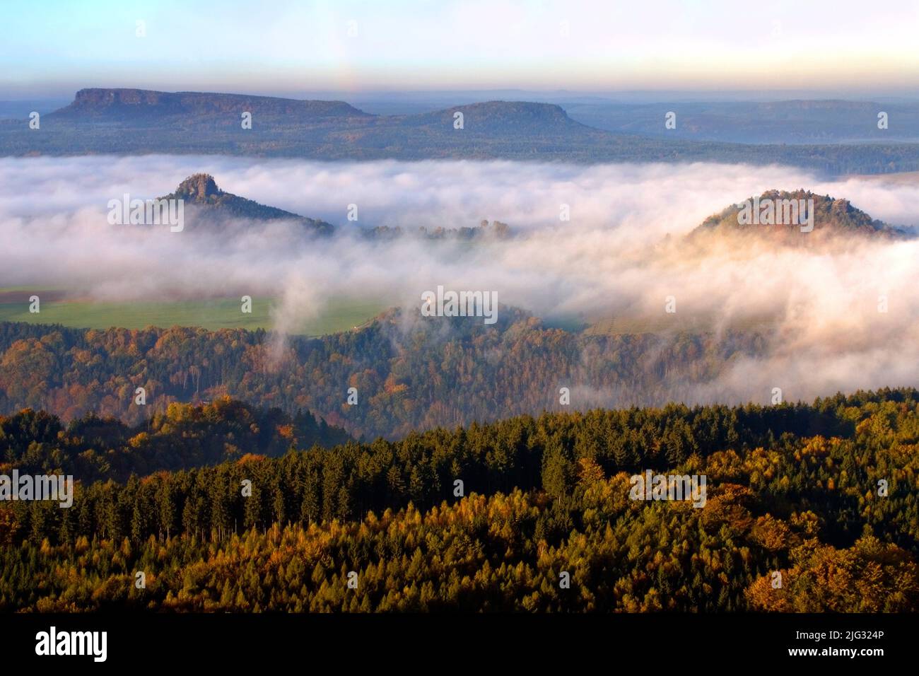 Morgennebel im Sächsischen Schweiz, Deutschland, Sachsen, Nationalpark Sächsische Schweiz Stockfoto