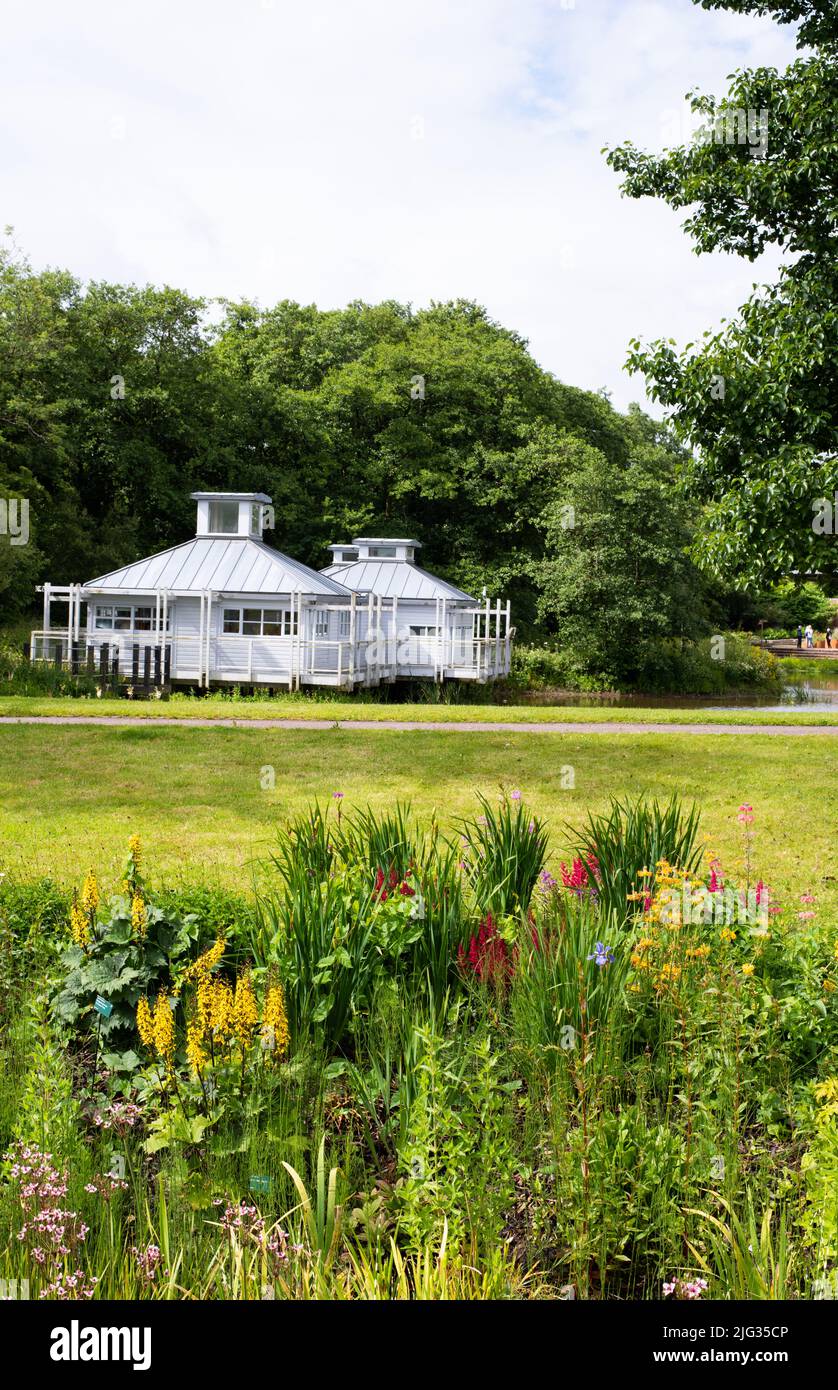 Foto aufgenommen im National Botanic Garden Wales im Juli 2022, aufgenommen von einer geraden Grenze mit dem Wasserpflanzenhaus im Hintergrund Stockfoto
