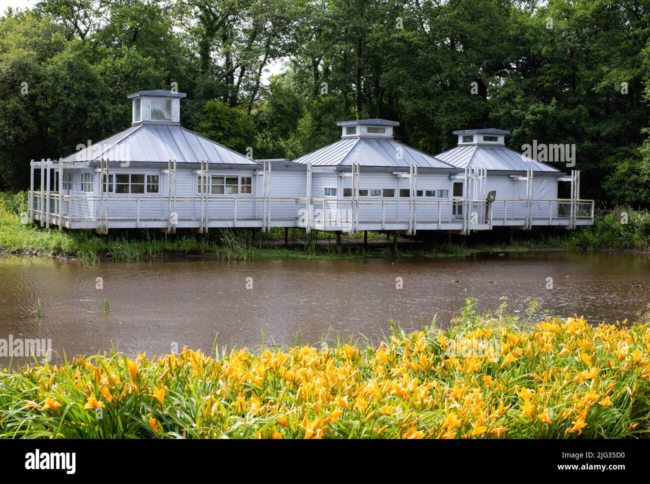 Das Foto wurde im Juli 2022 im National Botanic Garden Wales aufgenommen und zeigt Blumen vor dem Wasserpflanzenhaus. Stockfoto