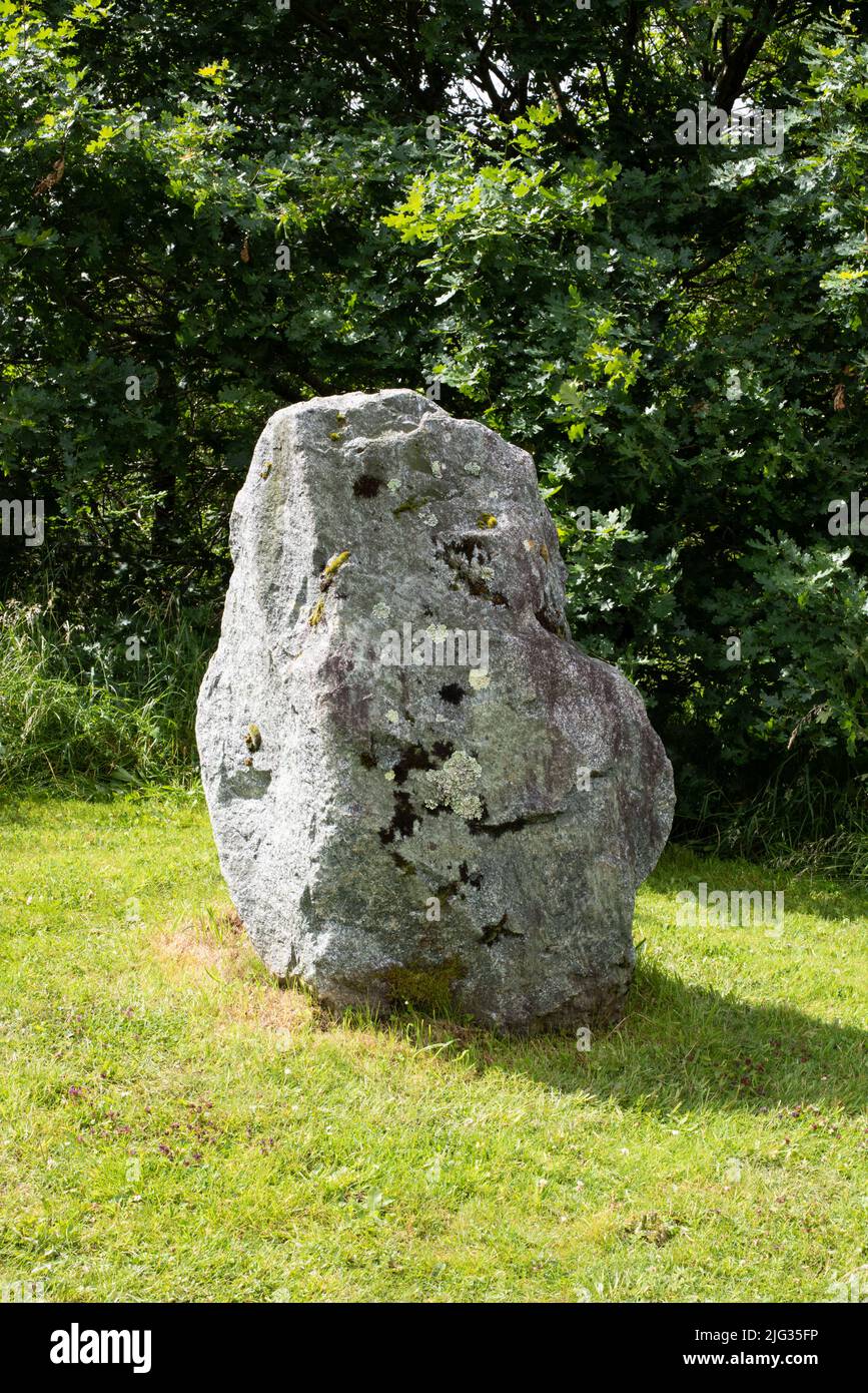 Preseli Bluestone, gefunden in Stonehenge. Es wurde versucht, diesen Stein manuell nach Stonehenge zu übertragen, aber er scheiterte, als ein Floß sank. Stockfoto