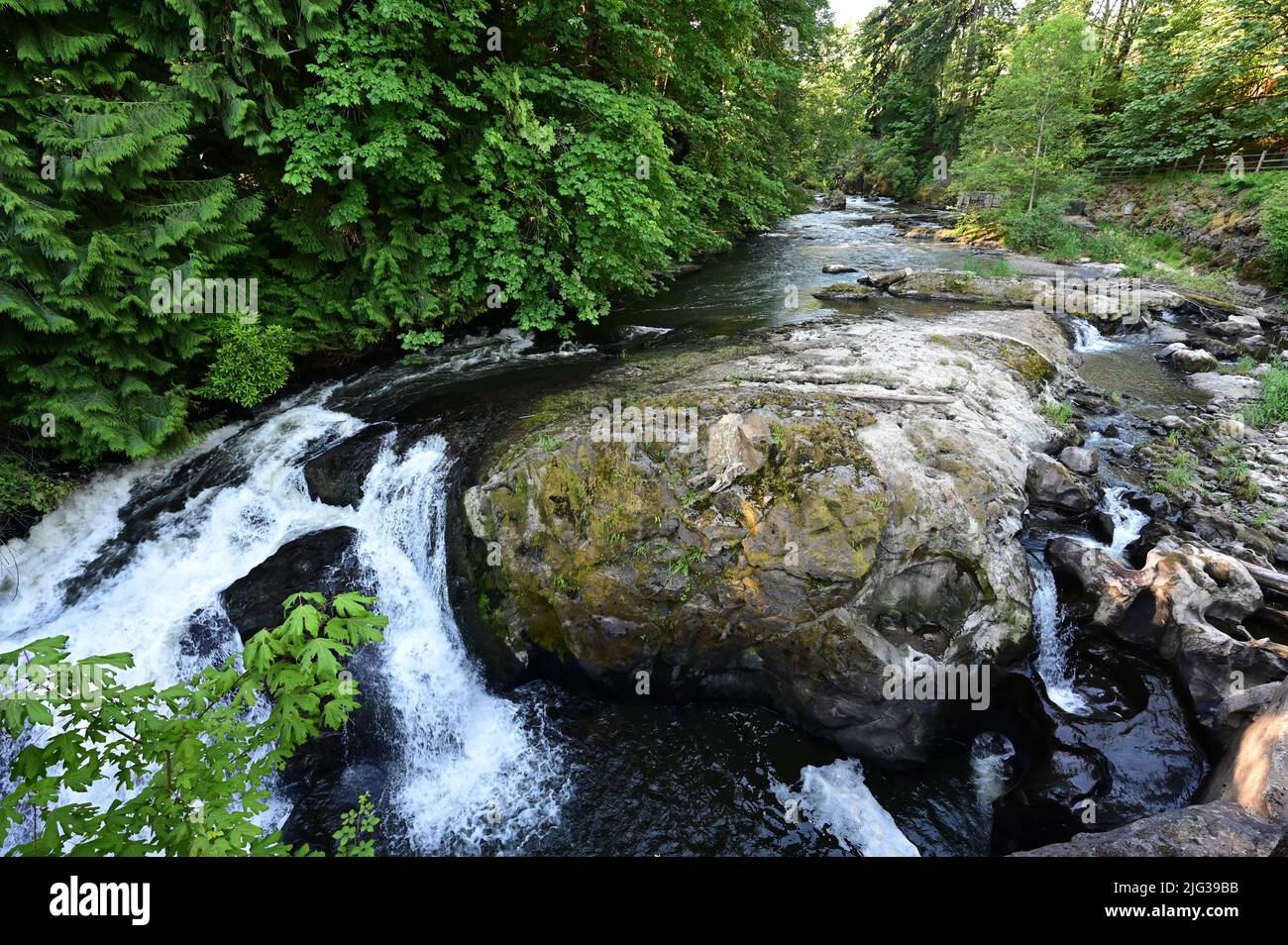 Die Tumwater Falls sind eine Reihe von Kaskaden am Deschutes River in Tumwater, Washington, USA. Stockfoto