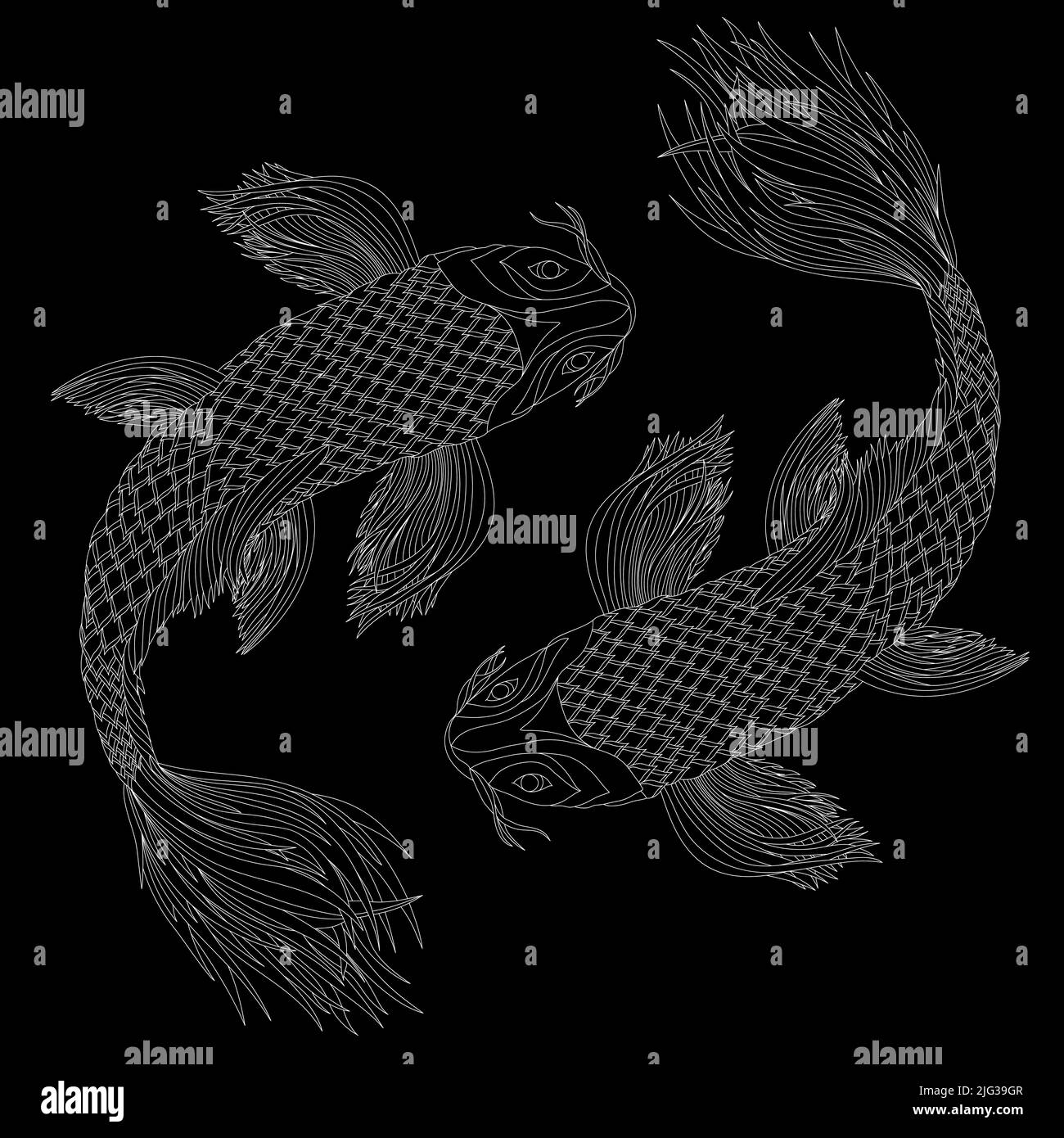 Zwei japanische Karpfen im Stil von feng Shui-Symbolen. Fische als Tierkreiszeichen. Weiße Abbildung. Stock Vektor
