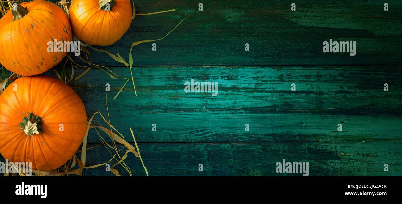Hallo Herbstbanner. Herbsternte Hintergrund; Kürbisse auf gealtertem Holztisch bei Sonnenlicht Stockfoto