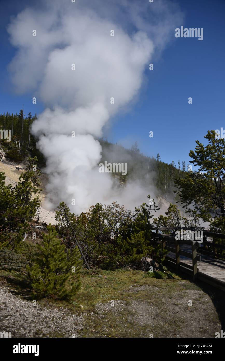 Yellowstone-Nationalpark, USA. 5/21-24/2022. Berylquelle ist eine heiße Quelle am Straßenrand im Gibbon Geyser Basin. Leicht zu Fuß erreichbar. Überhitzt Stockfoto