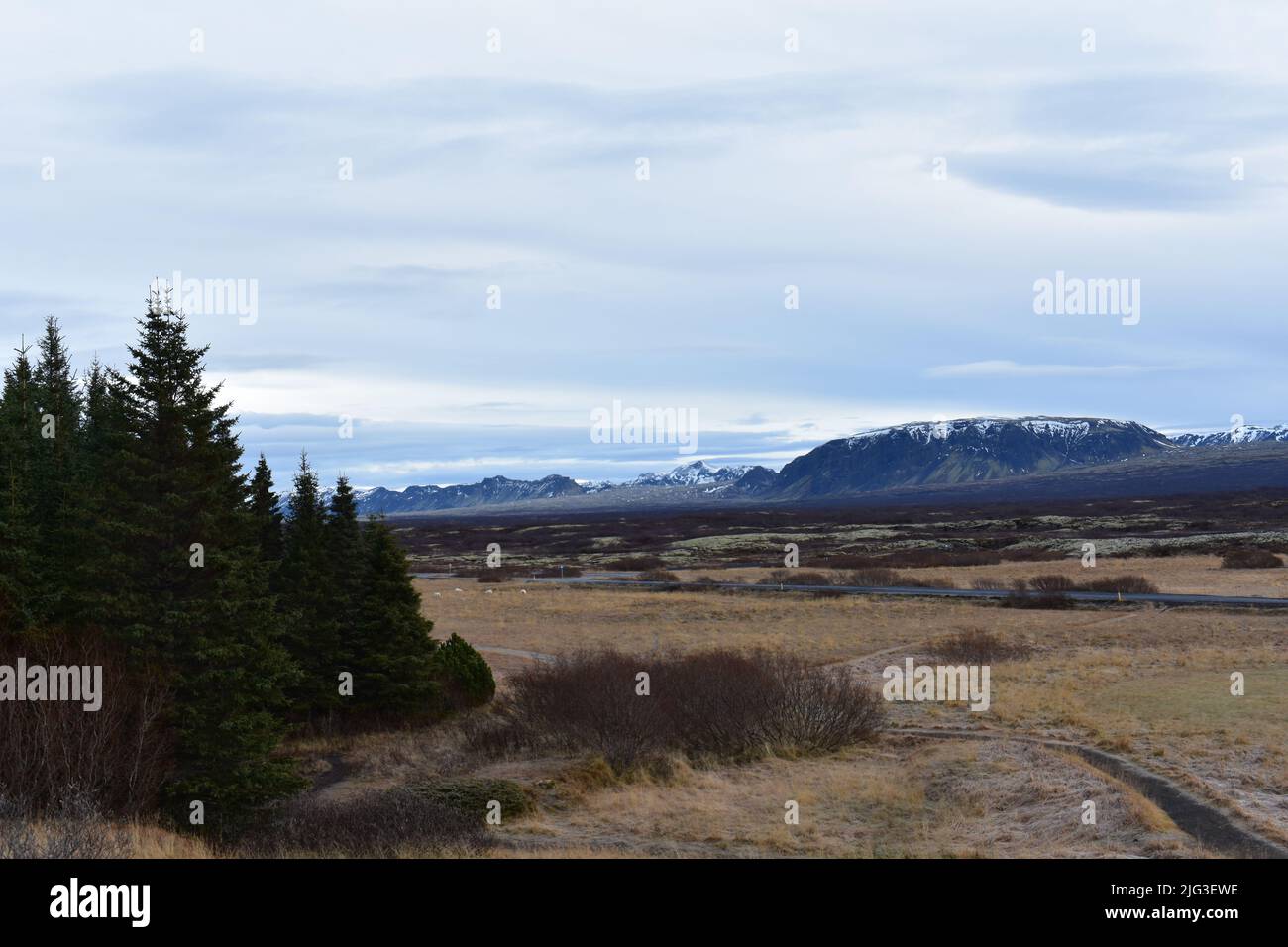 Schlichter und immergrüner Wald. Schneebedeckte Berge in der Ferne Stockfoto