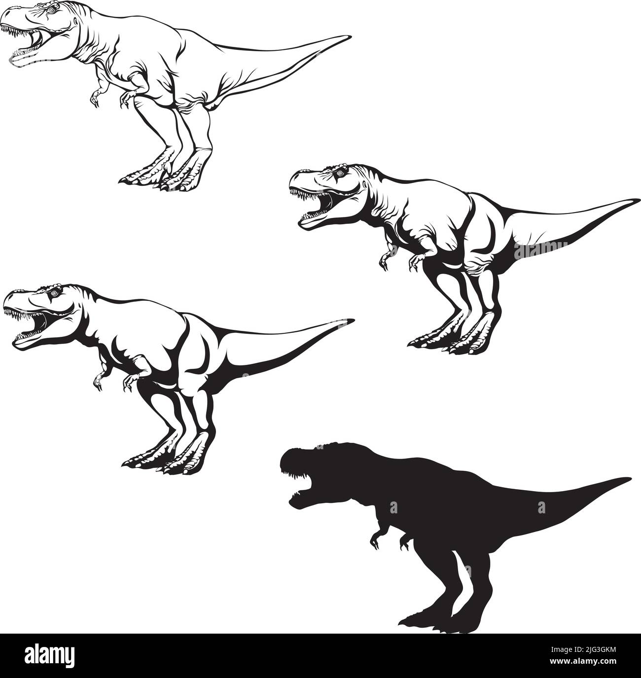 Tyrannosaurus Rex , Dinosaurier realistisches Bild, Vektor, Positionen, Illustration, Schwarz-Weiß, Silhouette, Logo, Markenzeichen, Chevron zur Dekoration Stock Vektor