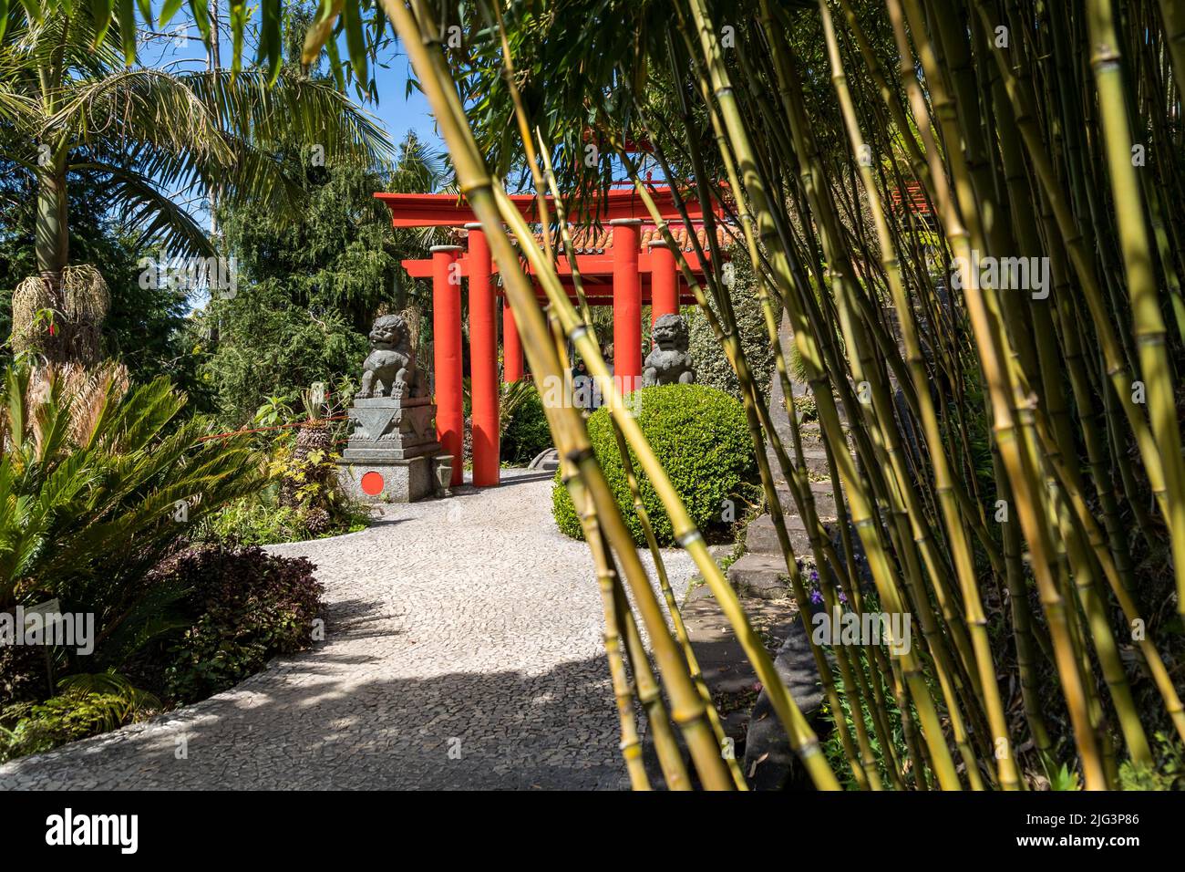 Torii im tropischen Garten Funchal Stockfoto