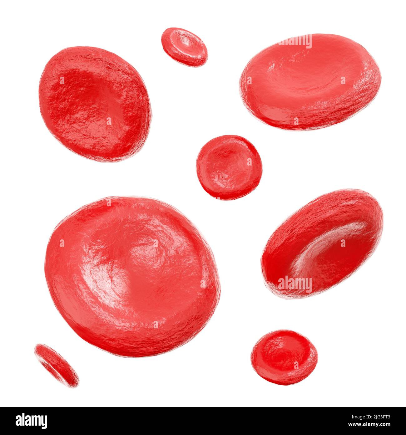 Rote Blutkörperchen . Isolierter weißer Hintergrund . 3D Rendering . Stockfoto