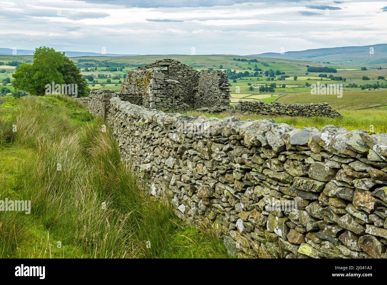 Blick von Artlegarth in Cumbria über die alte Scheune und Landschaft, die Anfang Juli fotografiert wurde Stockfoto