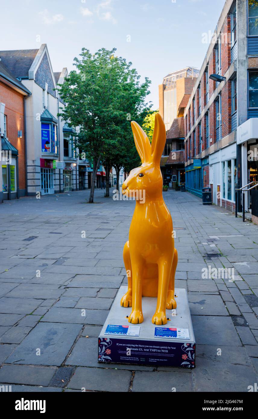 '24 Carrot Hare', eine Skulptur von John Illsley in den Hasen von Hampshire, einem öffentlichen Sommerkunstlehrpfad in der Middle Brook Street, Winchester Stockfoto