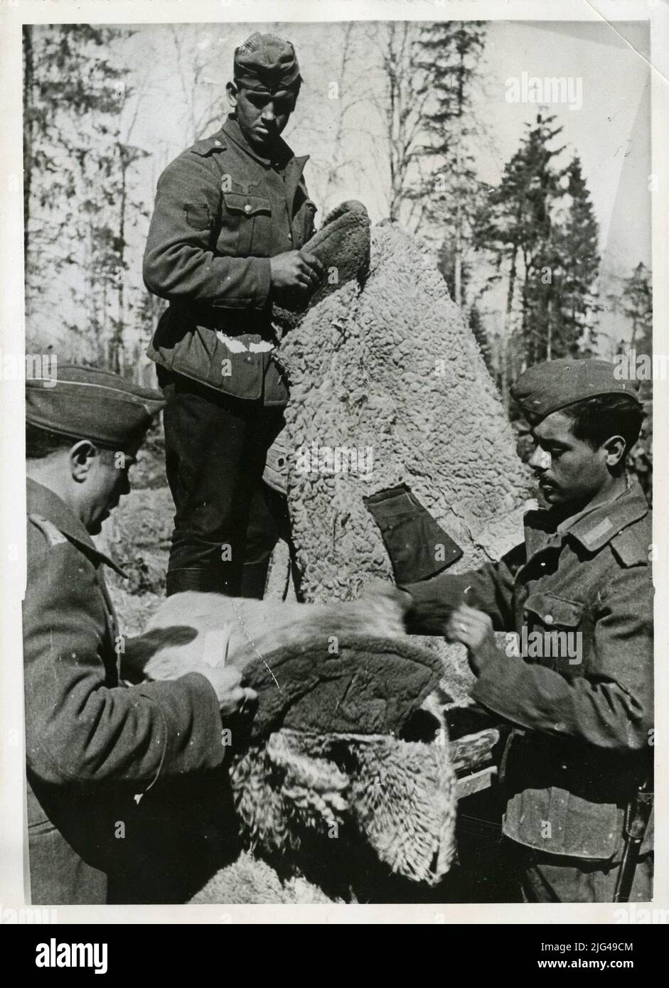 Die Spanier, die als Freiwilliger im Kampf gegen Together sind, geben nun ihre erhaltene Winterkleidung ab, nachdem es auch im Norden der Ostfront warm geworden ist. 11,5.42. Stockfoto