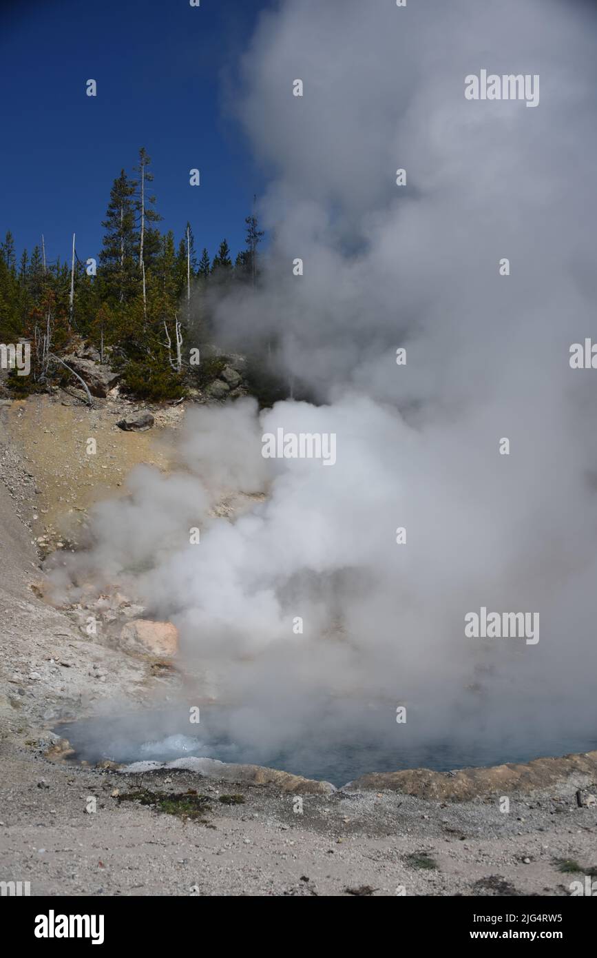 Yellowstone-Nationalpark, USA. 5/21-24/2022. Berylquelle ist eine heiße Quelle am Straßenrand im Gibbon Geyser Basin. Leicht zu Fuß erreichbar. Groß überhitzt Stockfoto