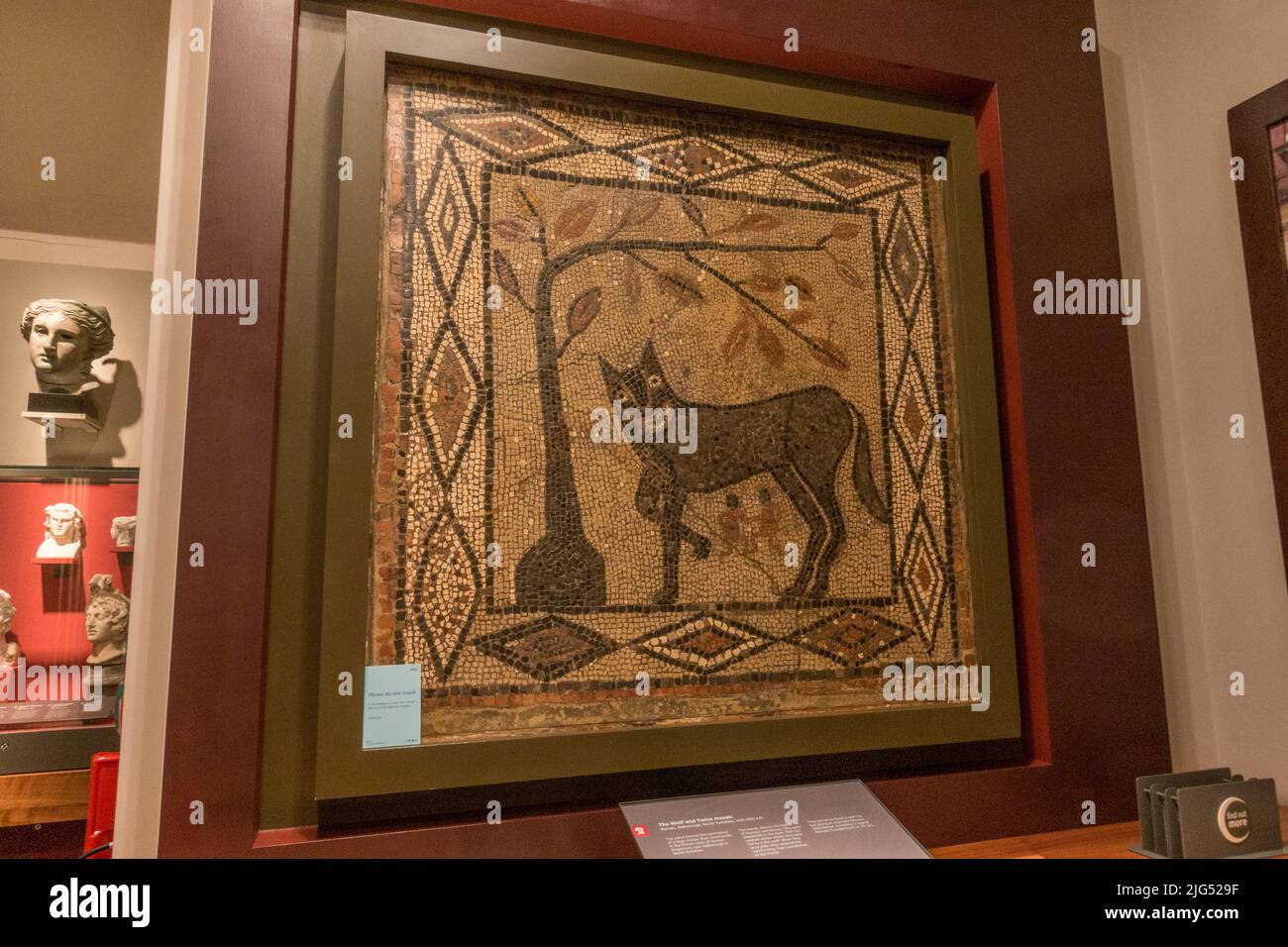 Mosaik „The Wolf and Twins“, römische Kacheln aus Aldborough (C300-400AD), ausgestellt in Großbritannien. Stockfoto