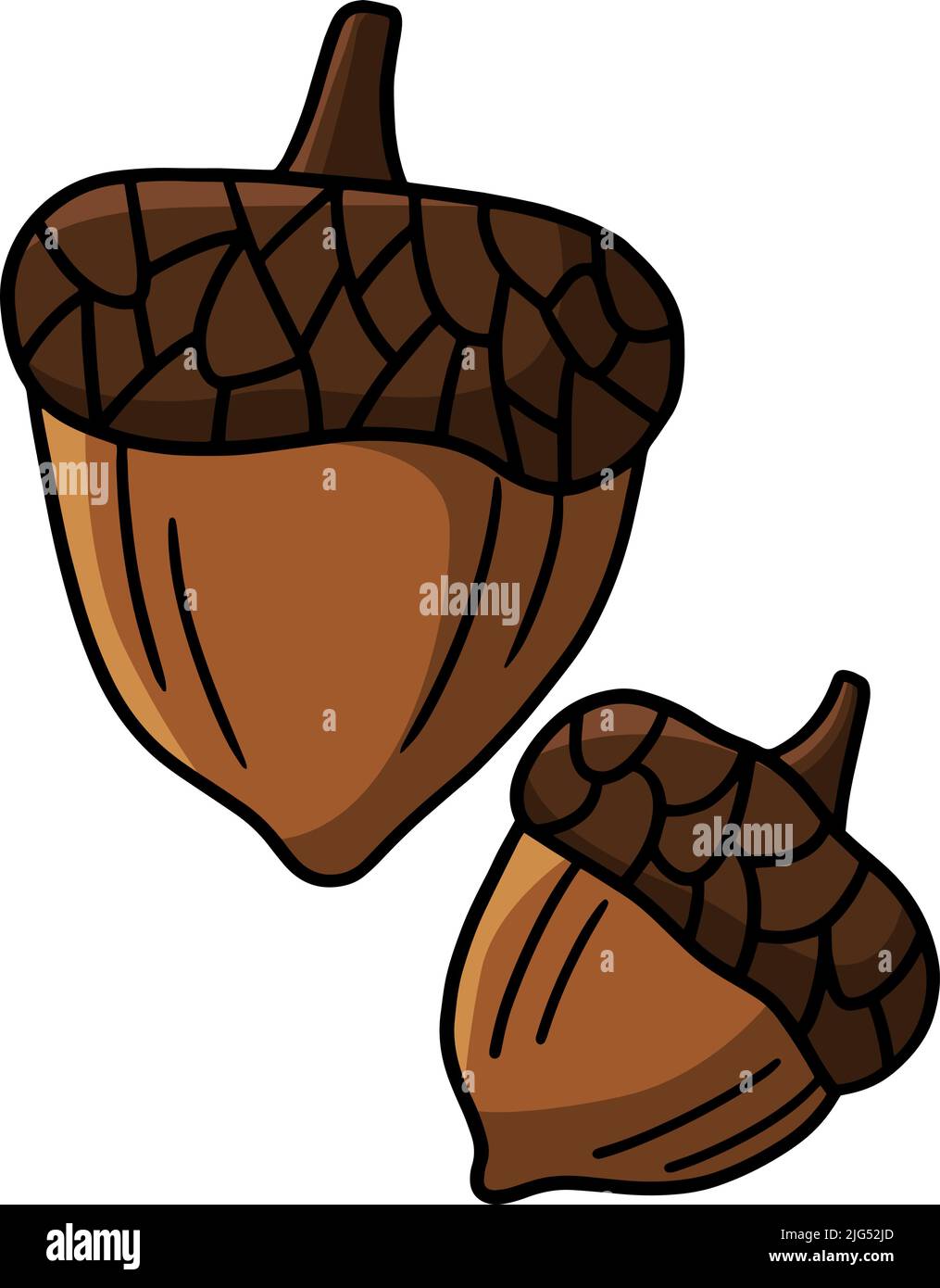 Acorn Cartoon Farbige Cliparte Illustration Stock Vektor