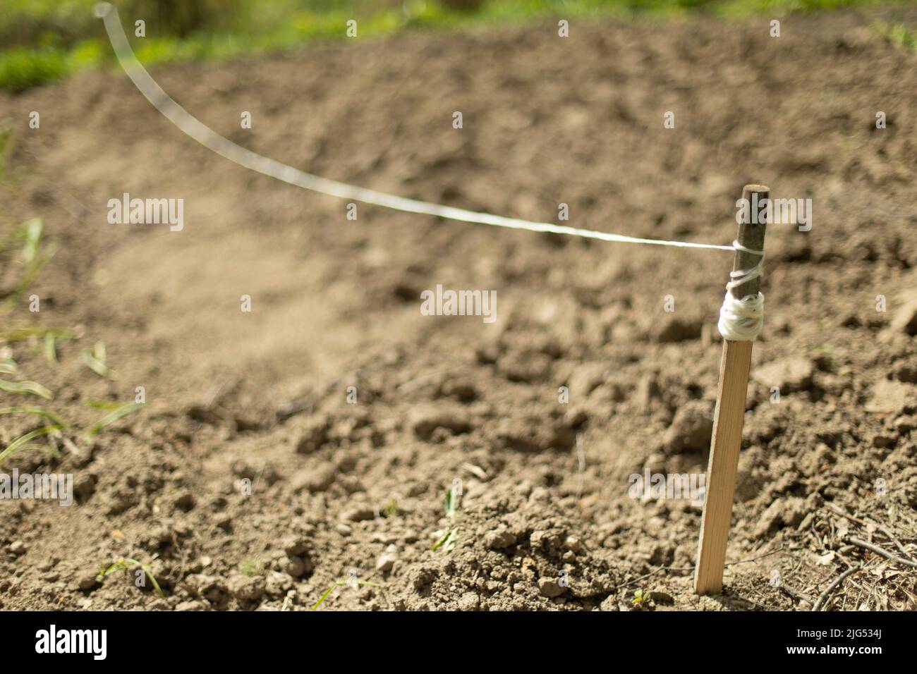 Markierung des Grundstücks. Der Faden wird über den Boden gestreckt. Begrenzung der Pflanzung. Gartendetails. Stockfoto