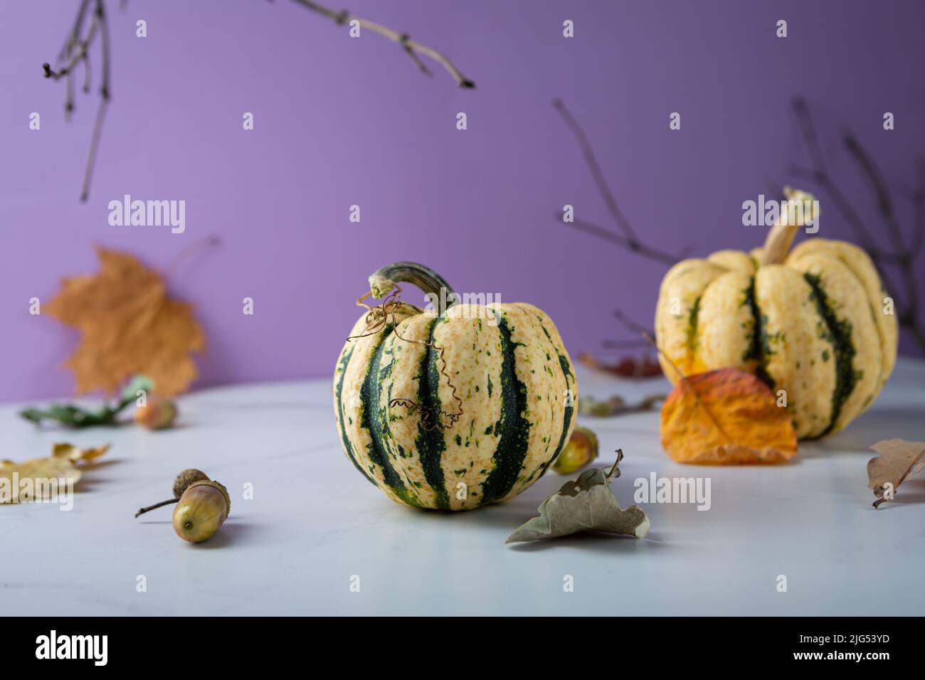 Herbsthintergrund mit Kürbissen kopieren Raum Urlaub Konzept Stockfoto