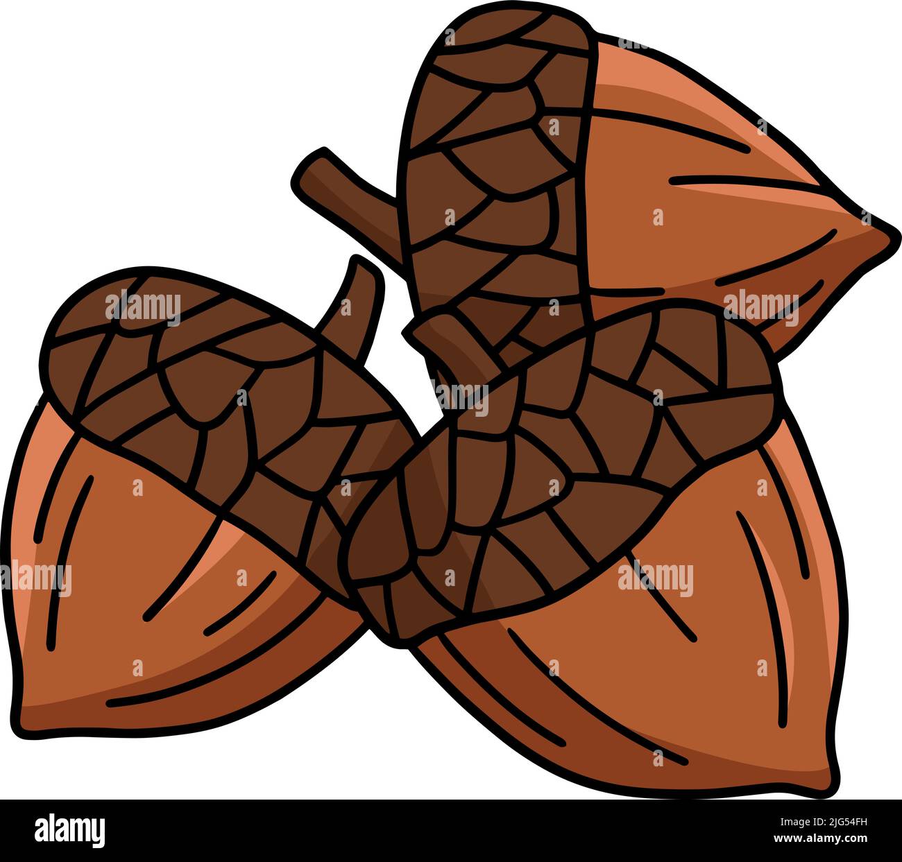 Acorn Cartoon Farbige Cliparte Illustration Stock Vektor