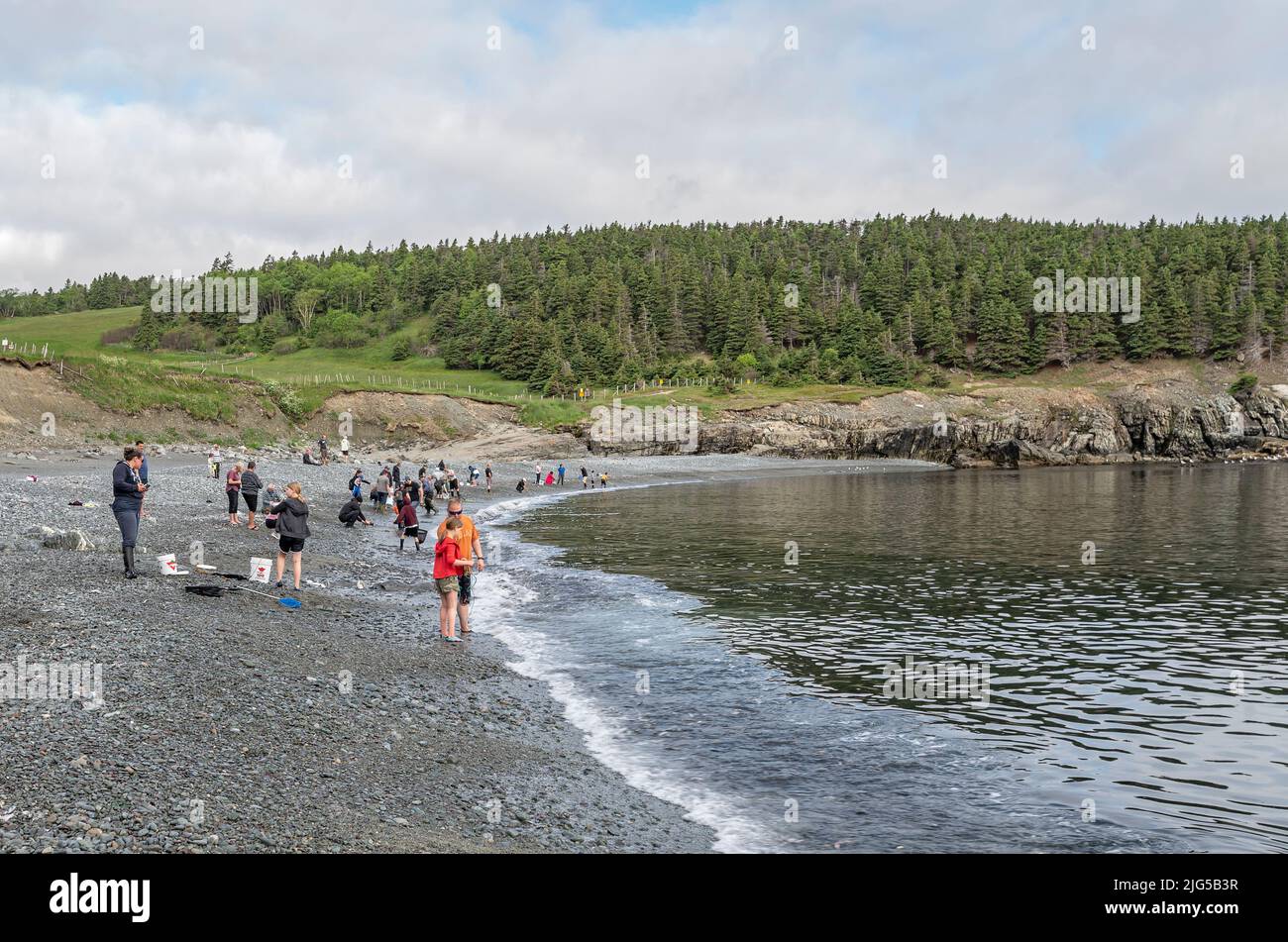Logy Bay-Middle Cove-Outer Cove, Neufundland und Labrador, Kanada – 24. Juni 2022: Am Rande von Middle Cove versammeln sich Menschen, um den Capelin (caplin Stockfoto