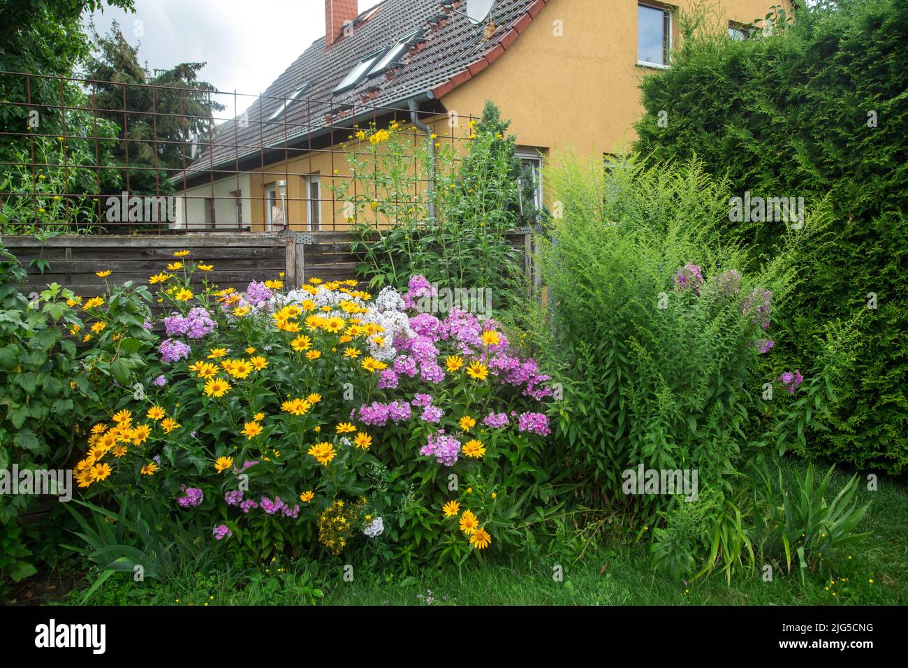 Farbenfroher Blumengarten in der DDR Stockfoto