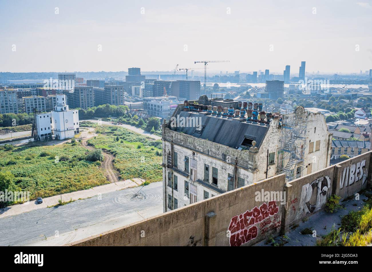 Verstummter Blick auf die Dachterrasse von Millennium Mills in Richtung Grain Silo D in Silvertown, Newham, East London, Großbritannien. Stockfoto