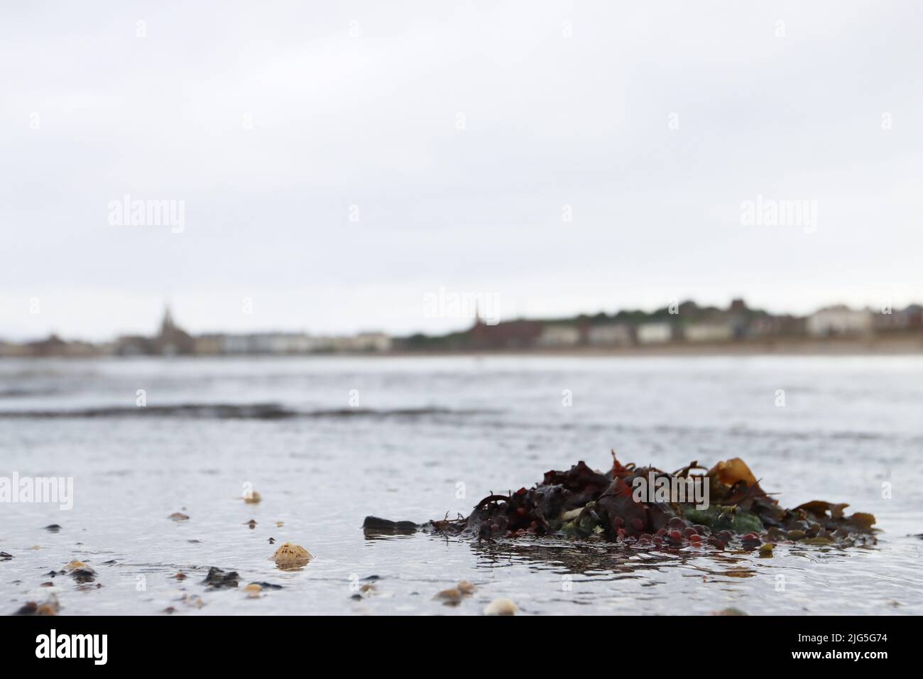 Saltcoats Strand Stockfoto