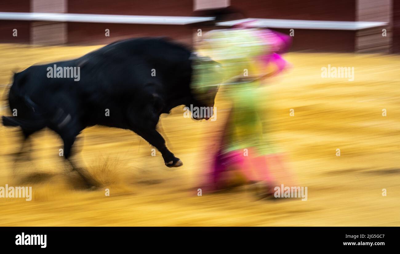 Stierkampf in Sanlucar la Mayor, Spanien Stockfoto