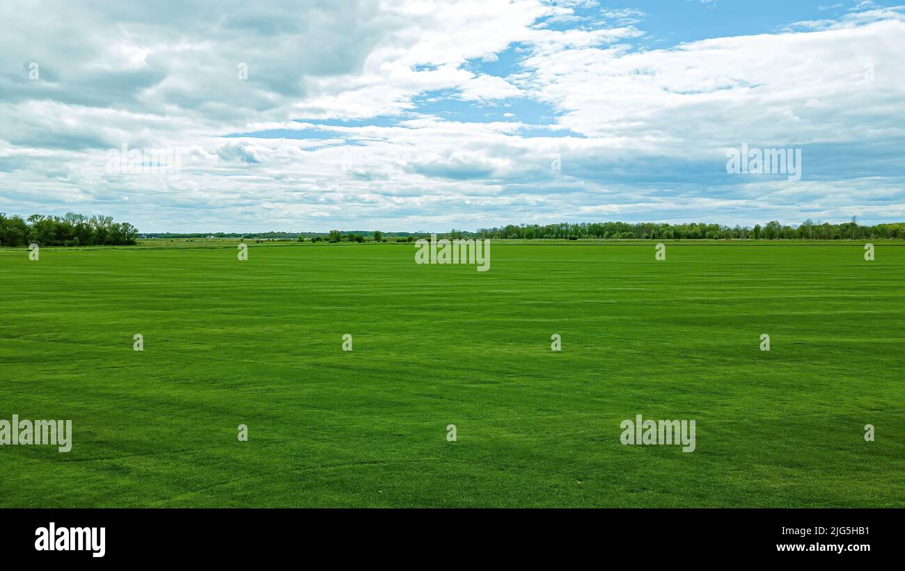Eine weite offene Ansicht eines Feldes und von Bäumen in der Ferne unter wolkig blauem Himmel Stockfoto