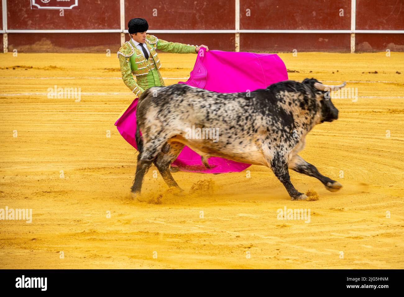 Stierkampf in Sanlucar la Mayor, Spanien Stockfoto