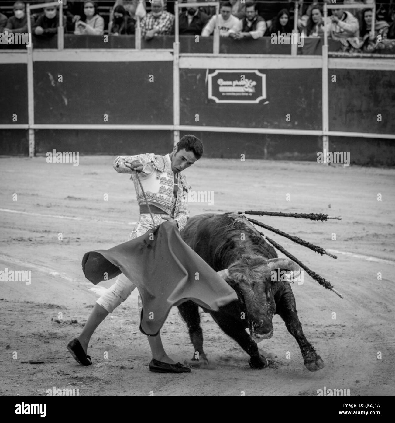 Stierkampf in Sanlucar, Spanien Stockfoto
