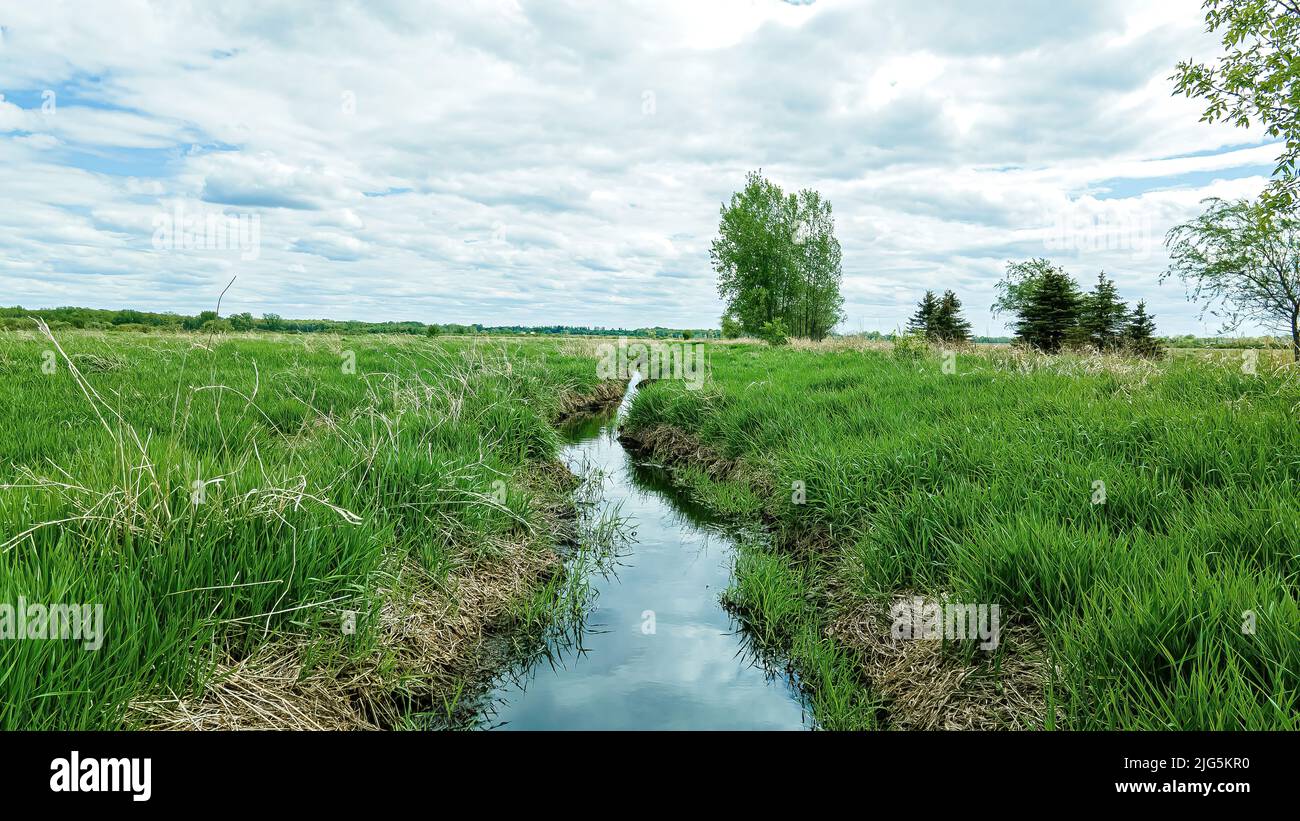 Frühlingsansicht eines kleinen Baches, der unter einem wolkigen Himmel durch grüne Felder fließt Stockfoto