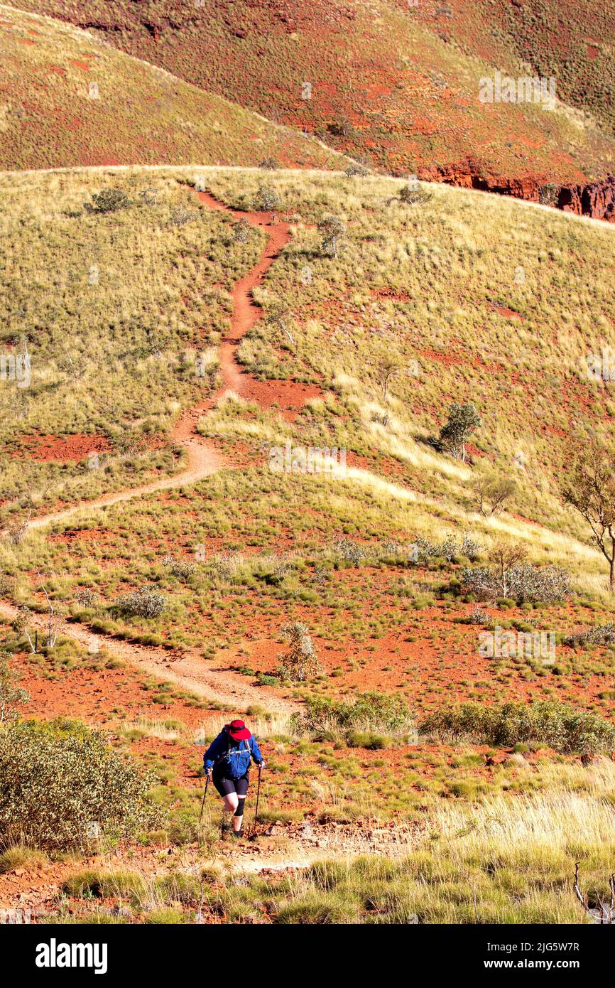 Wanderer auf den Hängen des Mt Bruce, Karijini National Park Stockfoto