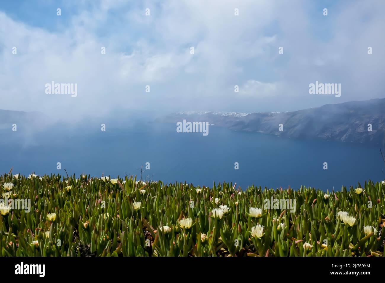 Blick auf Blumen, die Ägäis und das Dorf Oia in der Ferne an einem bewölkten Tag auf Santorini Stockfoto