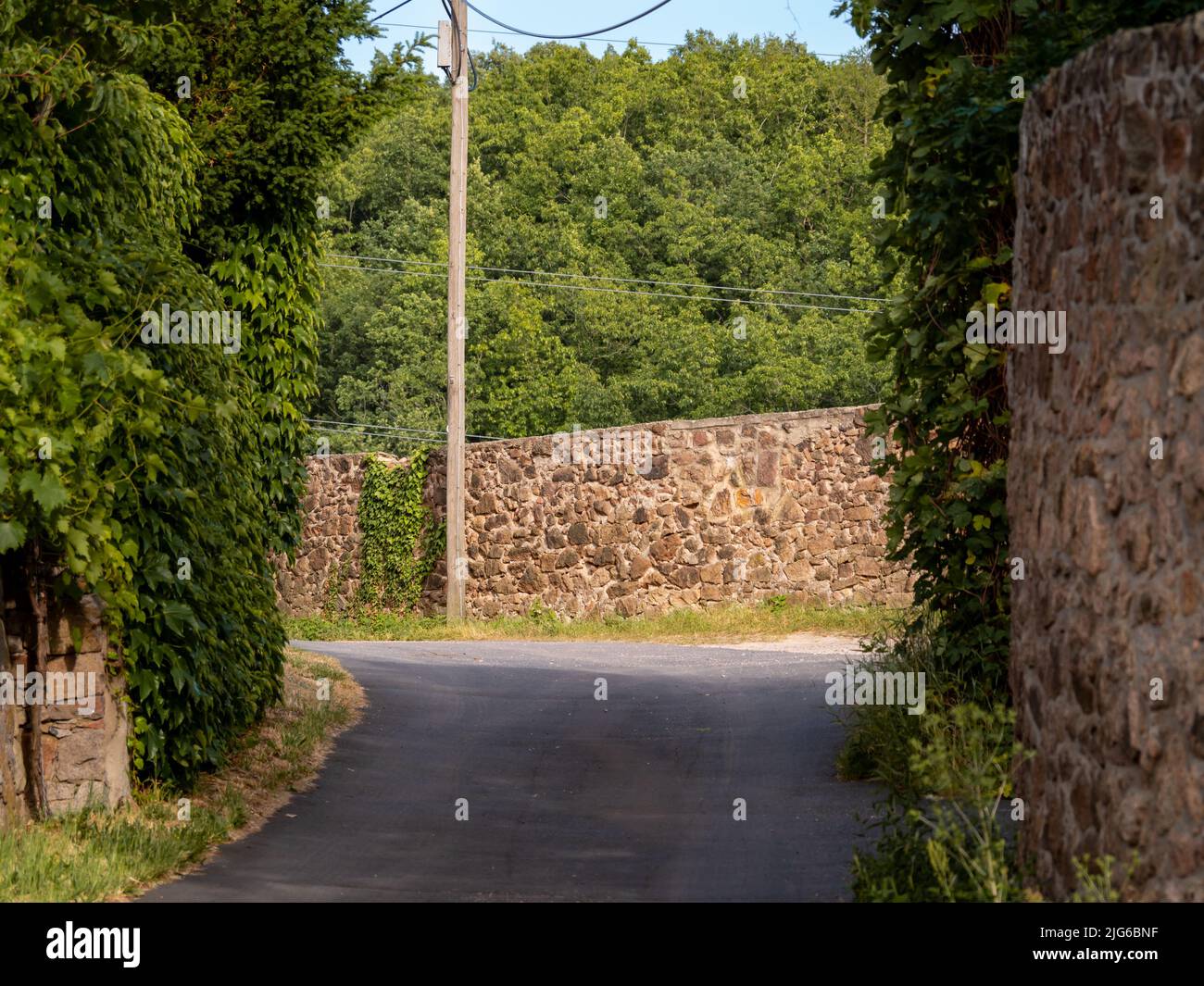 Leere Straße mit großen alten Steinmauern und grünen Bäumen. Asphaltierte Straße ohne Menschen. Traditionelles Äußeres in Europa. Üppiges Laub im Sommer. Stockfoto