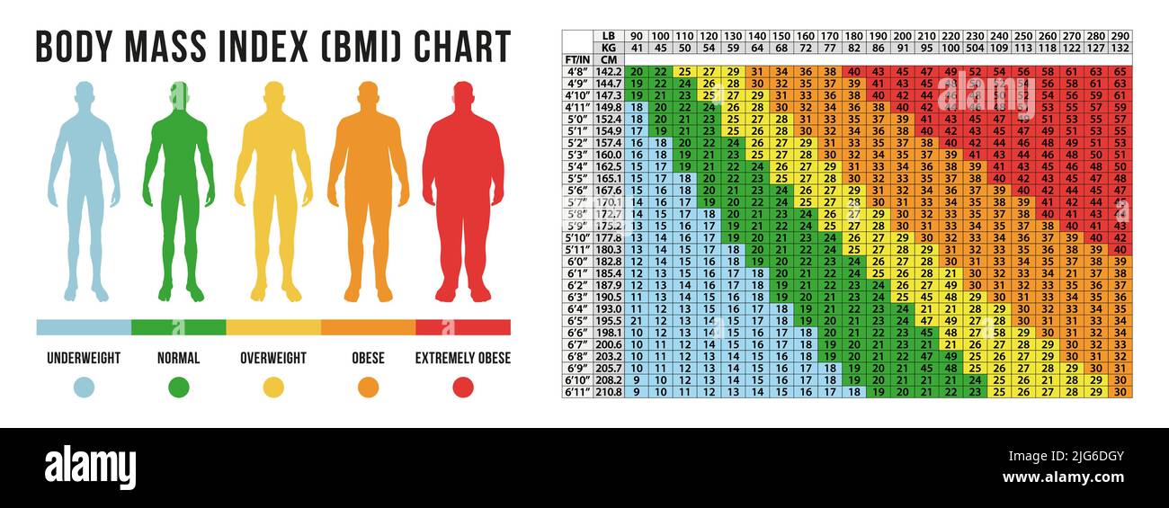 Body Masse Indexdiagramm, BMI im Vektorformat Stock Vektor