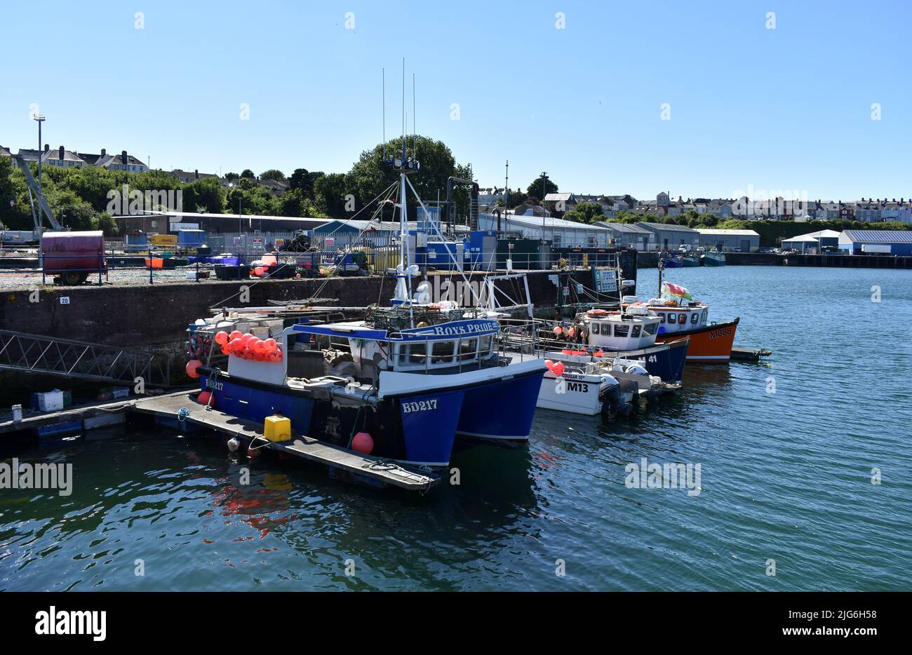 Fischerhafen Milford, Milford Haven, Pembrokeshire, Wales Stockfoto